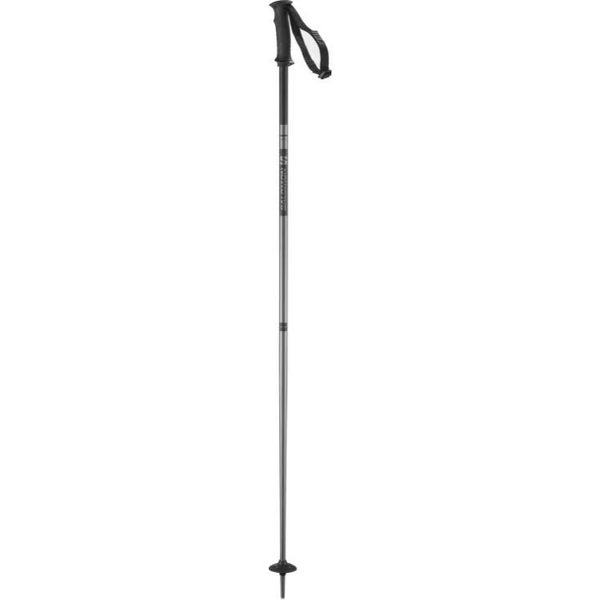 salomon arctic ski poles 2018 Salomon Arctic Poles