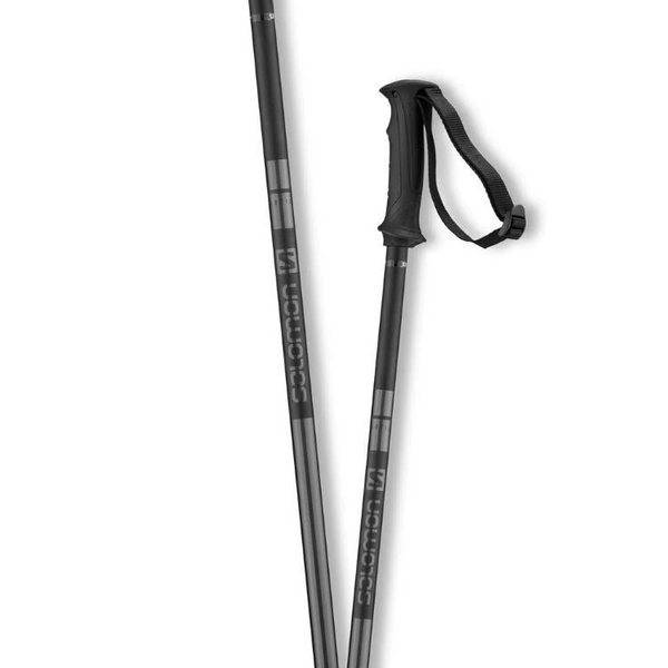 salomon arctic ski poles 2020 Salomon Arctic Poles
