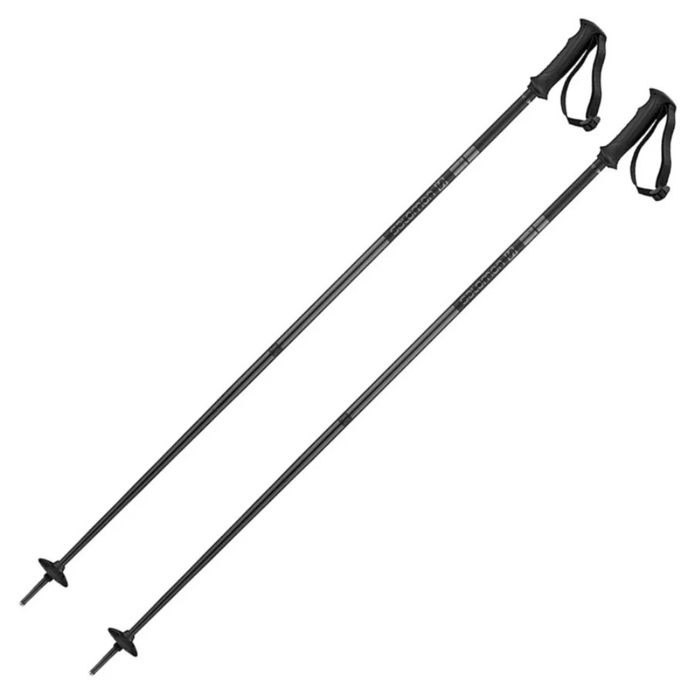 Salomon Arctic Poles