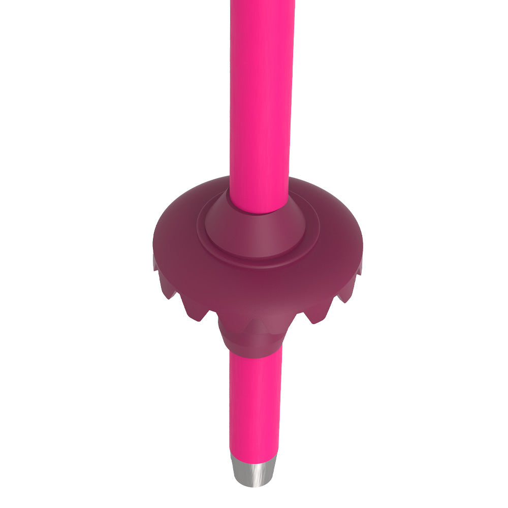 Atomic AMT Jr Poles