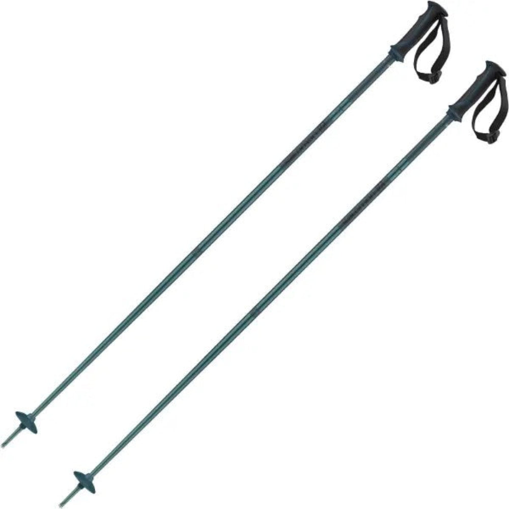 Salomon Arctic Poles
