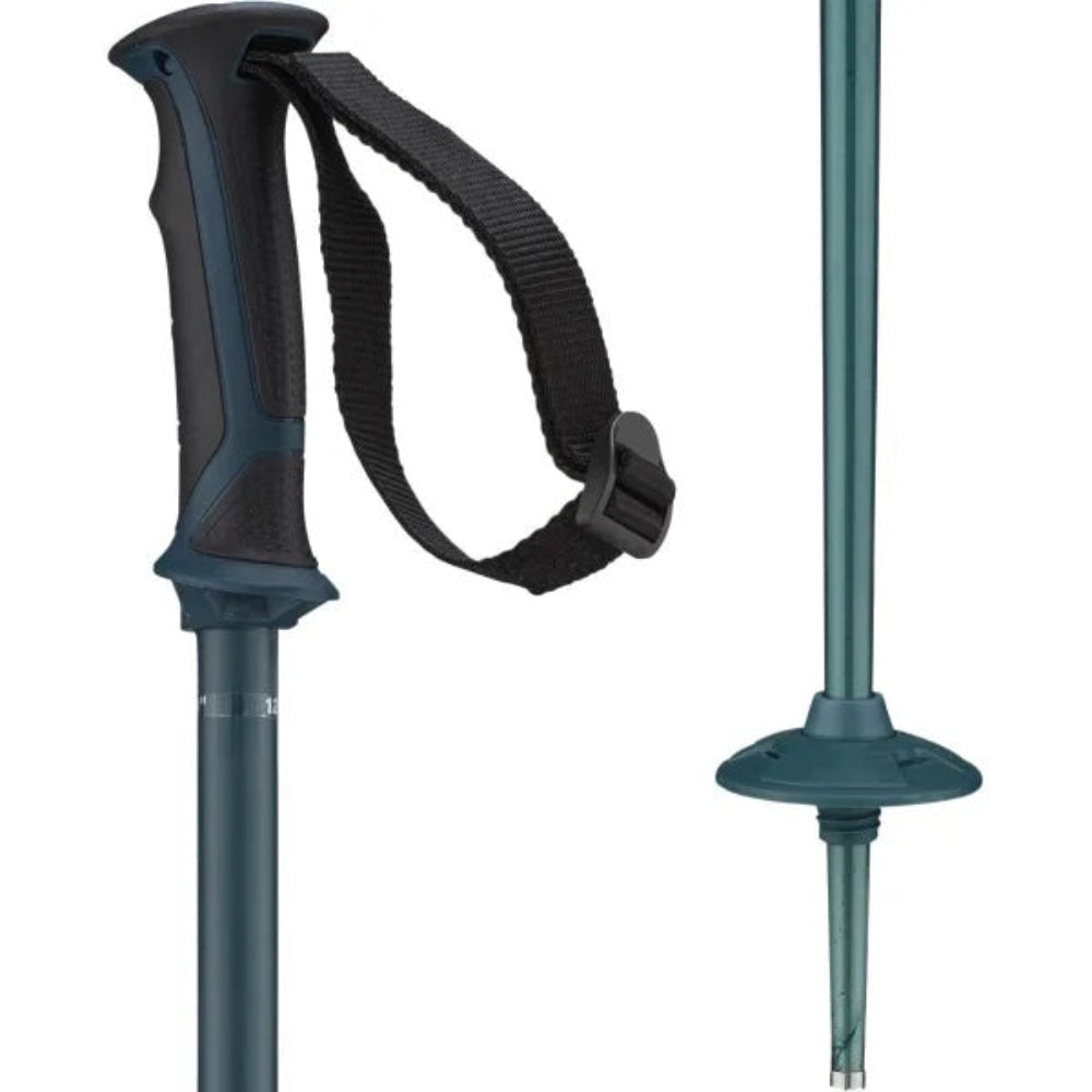 Salomon Arctic Poles