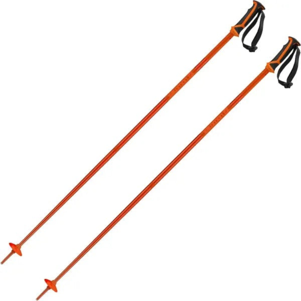 Salomon Arctic Poles