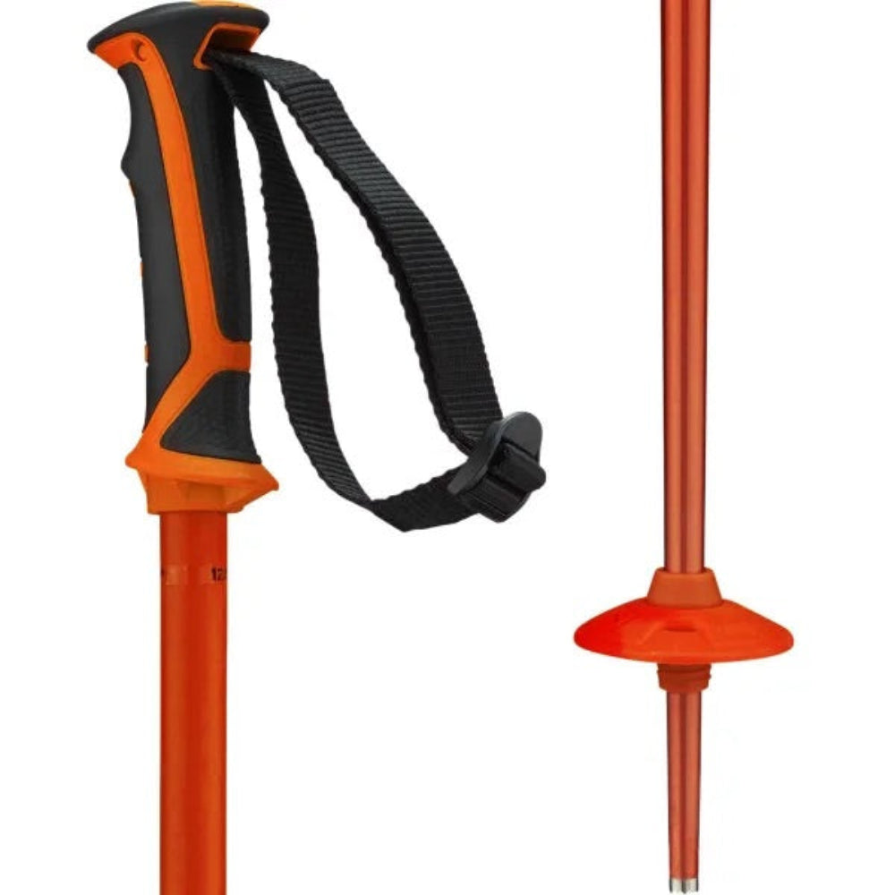 Salomon Arctic Poles
