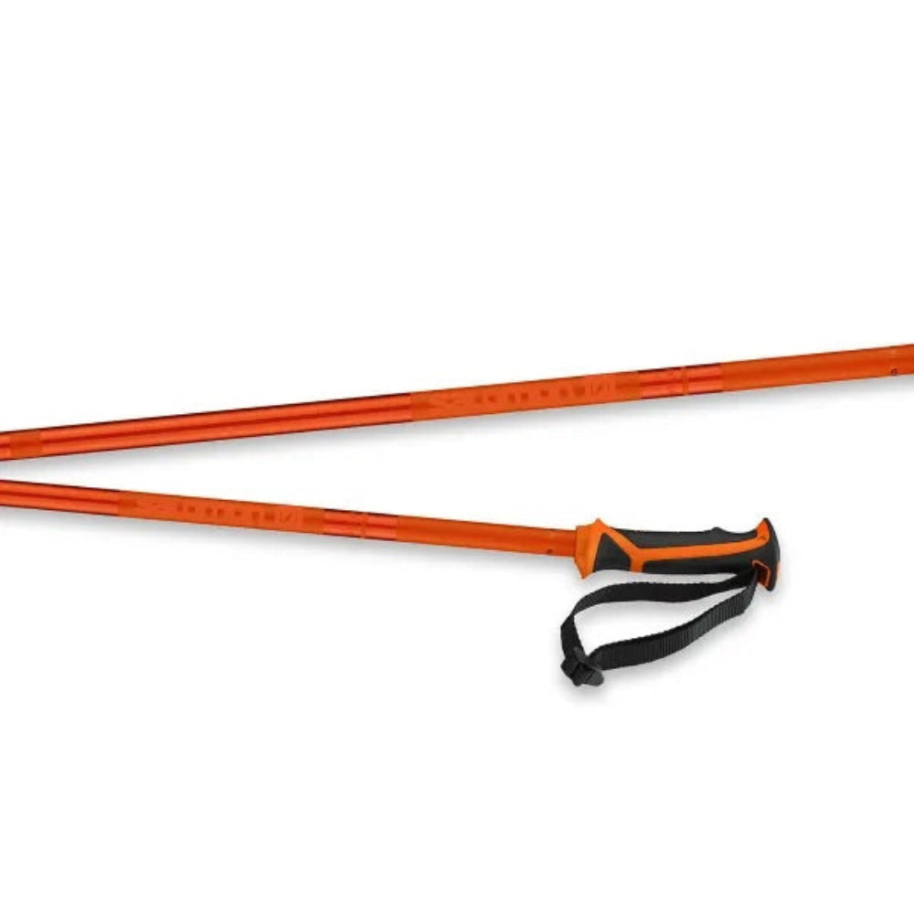 Salomon Arctic Poles