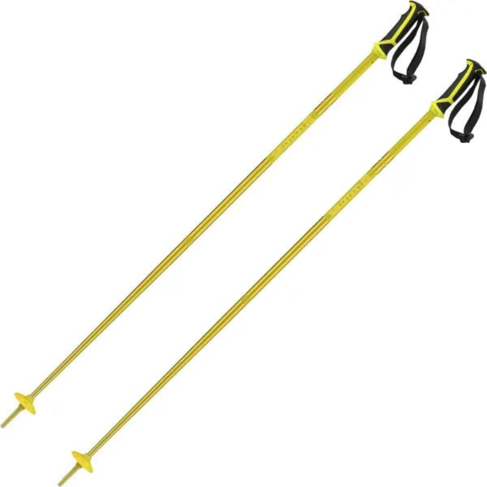 Salomon Arctic Poles
