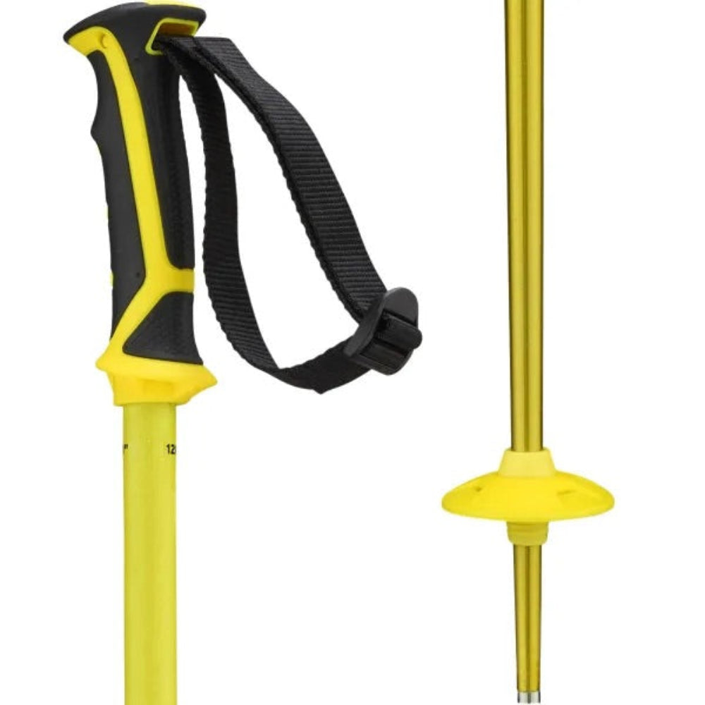 Salomon Arctic Poles