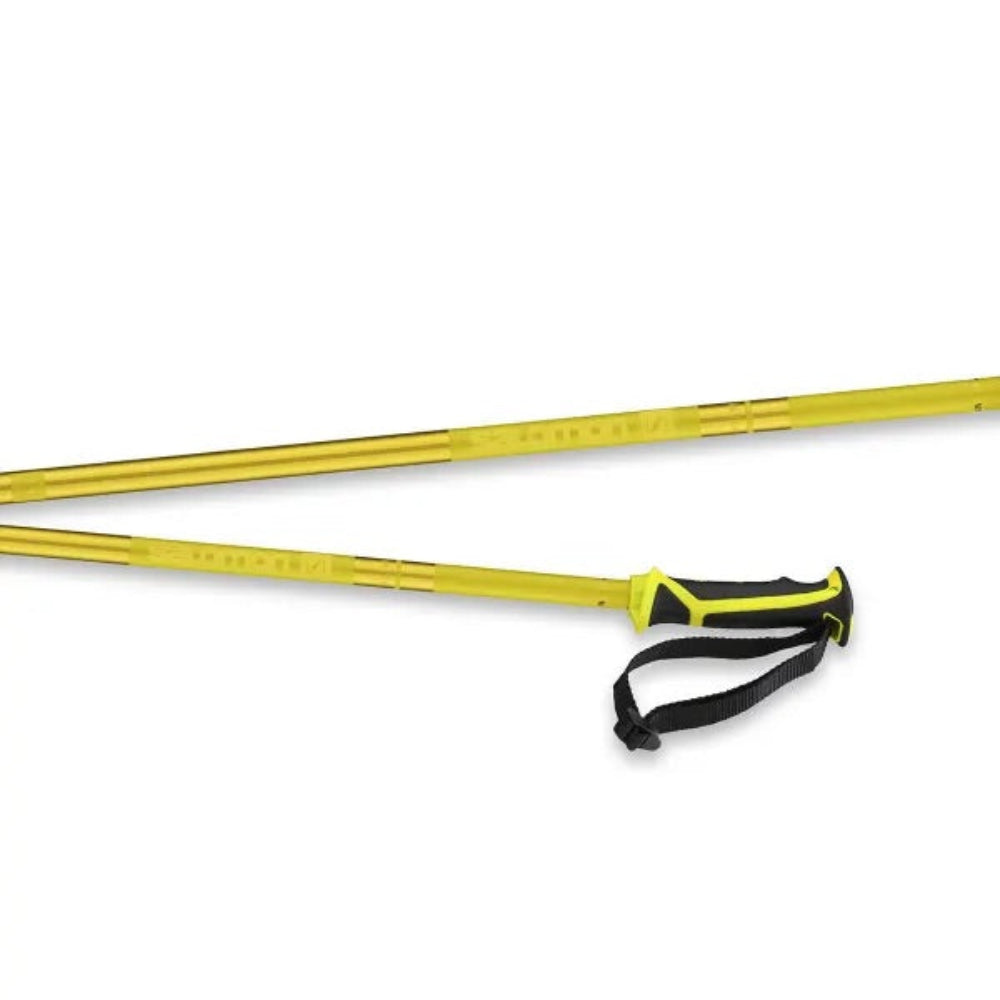 Salomon Arctic Poles