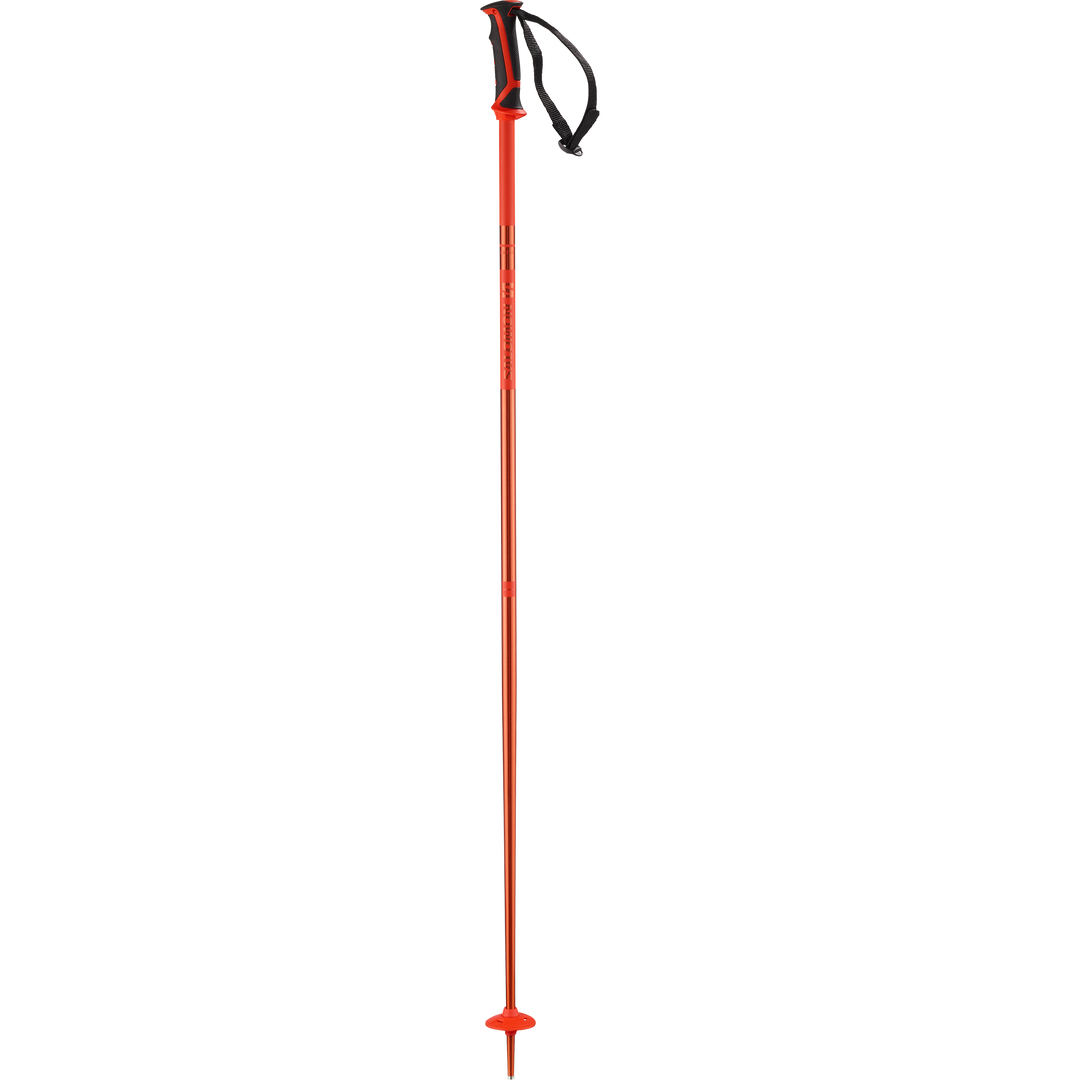 salomon arctic ski poles 2020 Salomon Arctic Poles