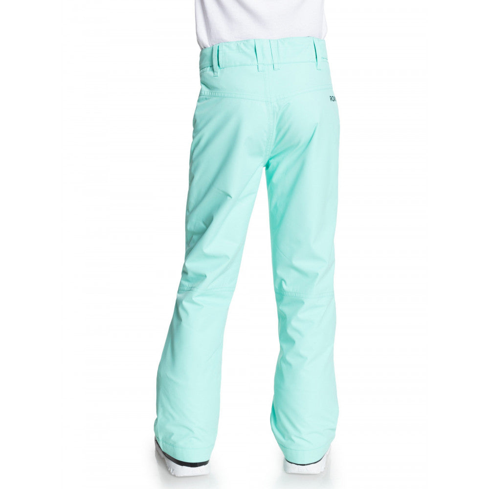 Roxy Backyard Pant main image 1